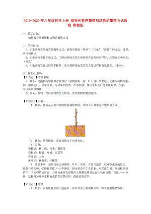 2019-2020年八年級(jí)科學(xué)上冊(cè) 植物的營(yíng)養(yǎng)繁殖和動(dòng)物的繁殖方式教案 鄂教版.doc