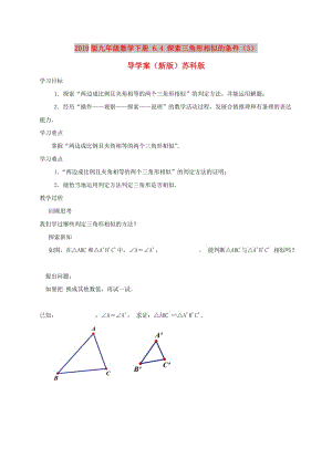 2019版九年級數(shù)學(xué)下冊 6.4 探索三角形相似的條件（3）導(dǎo)學(xué)案（新版）蘇科版.doc