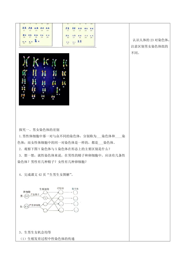 山东泰安市八年级生物下册 8.2.4《人的性别遗传》学案 鲁教版五四制.doc_第2页