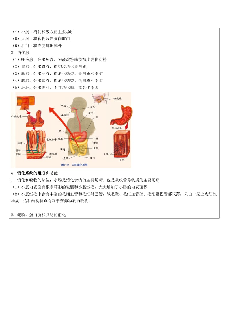 2019-2020年九年级科学部分 第10讲 代谢与平衡（一） 浙教版.doc_第3页