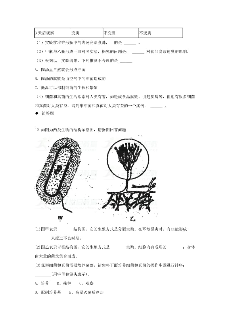 2019-2020年八年级生物上册5.4.1细菌和真菌的分布练习新版新人教版.doc_第3页