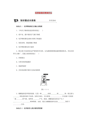 九年級(jí)化學(xué)上冊(cè) 第1章 開啟化學(xué)之門 1.1 化學(xué)給我們帶來什么同步練習(xí) 滬教版.doc