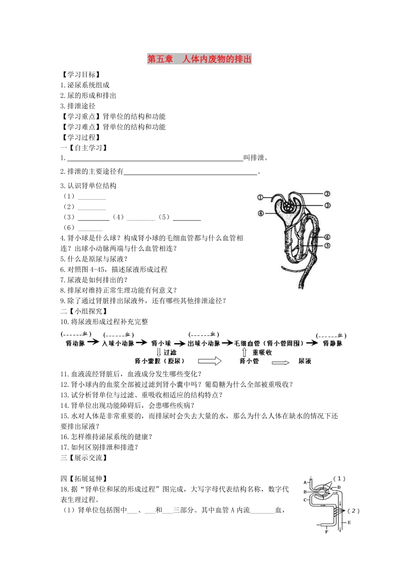 2019年春七年级生物下册 第四单元 第五章 人体内废物的排出学案（新版）新人教版.doc_第1页