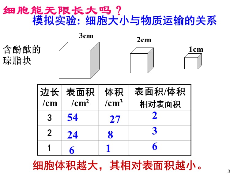 细胞的增殖人教版必修一ppt课件_第3页