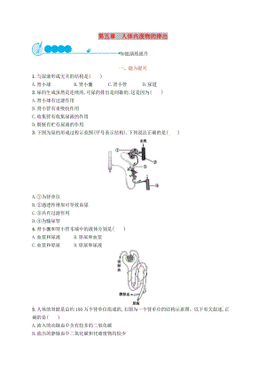 2019年春七年級生物下冊 第五章 人體內(nèi)廢物的排出知能演練提升 （新版）新人教版.doc