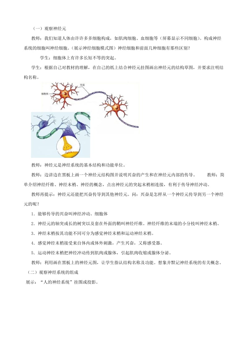 八年级生物上册 6.16.1人体的神经调节（第1课时）教案 （新版）苏科版.doc_第2页