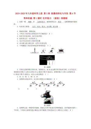 2019-2020年九年級科學(xué)上冊 第3章 能量的轉(zhuǎn)化與守恒 第4節(jié) 簡單機械 第1課時 杠桿練習(xí) （新版）浙教版.doc