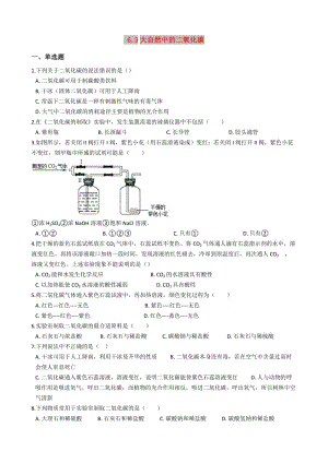 九年級化學上冊 第六單元 燃燒與燃料 6.3 大自然中的二氧化碳同步測試題 （新版）魯教版.doc