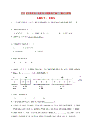 2019版中考數(shù)學(xué)一輪復(fù)習(xí) 習(xí)題分類(lèi)匯編二（整式運(yùn)算與分解因式） 魯教版.doc