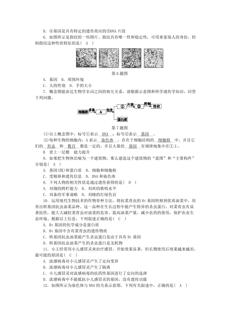 九年级科学下册第1章演化的自然第5节遗传与进化第1课时遗传与变异练习新版浙教版.doc_第2页