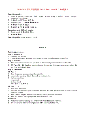 2019-2020年八年級英語 Unit2 What should I do教案5.doc