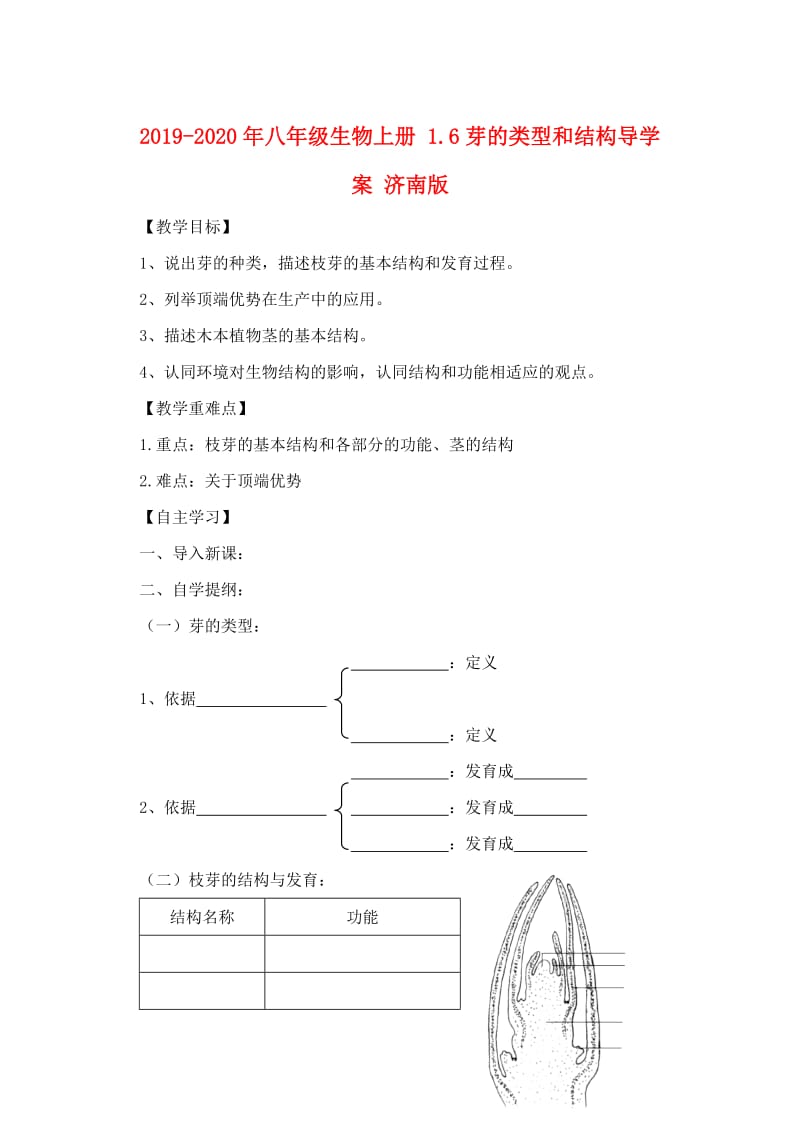 2019-2020年八年级生物上册 1.6芽的类型和结构导学案 济南版.doc_第1页