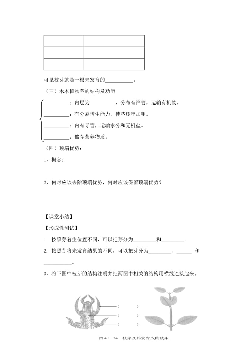 2019-2020年八年级生物上册 1.6芽的类型和结构导学案 济南版.doc_第2页