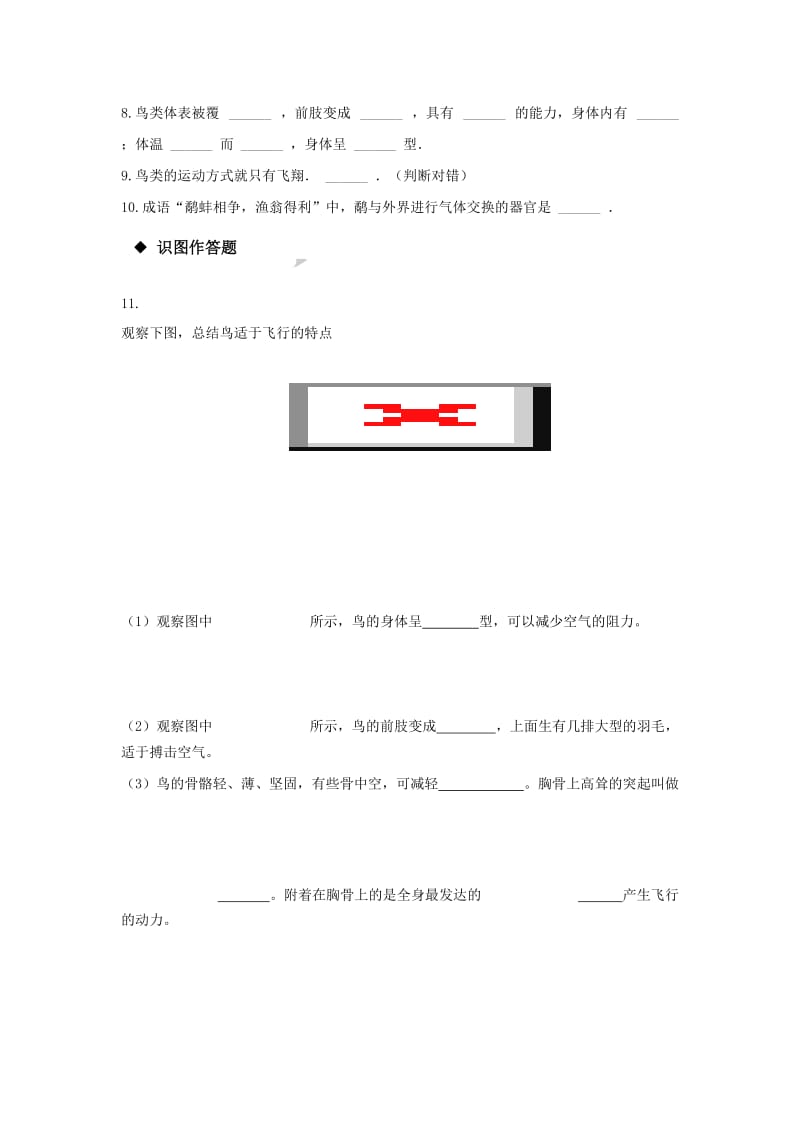 2019-2020年八年级生物上册 5.1.6《鸟》练习 （新版）新人教版.doc_第2页