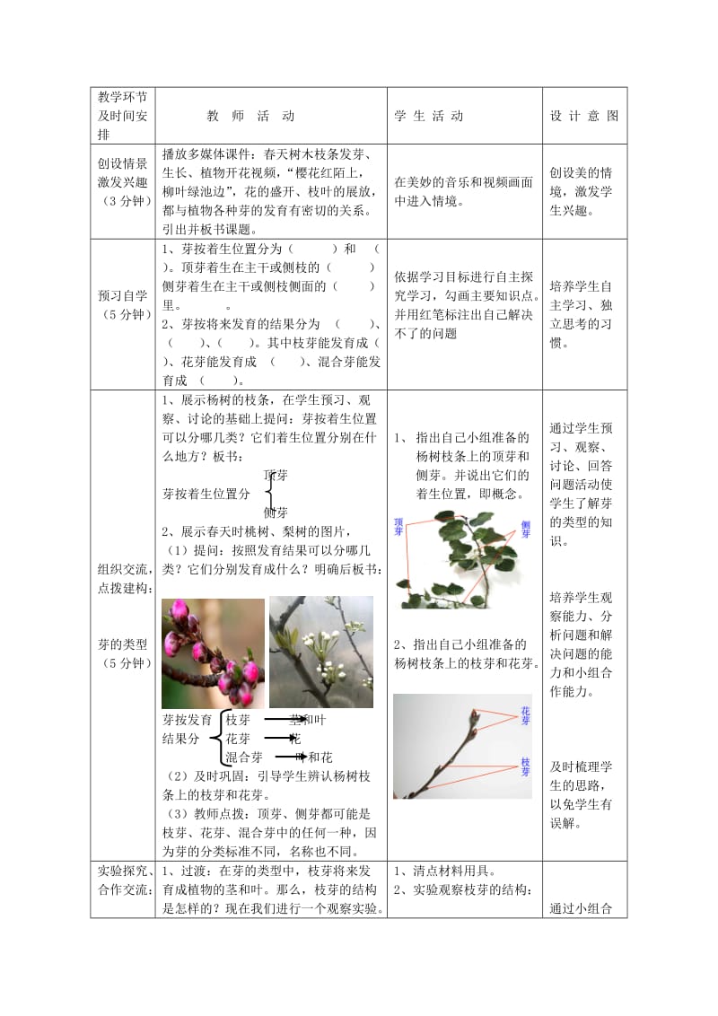 2019-2020年八年级生物上册 第4单元 第1章 第5节 根的结构与功能教案1 （新版）济南版.doc_第2页