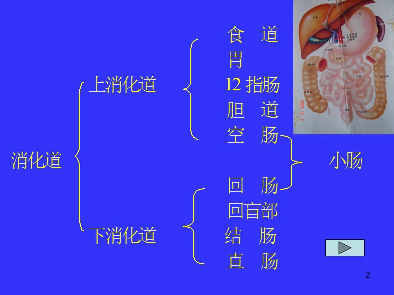 下消化道大出血ppt课件_第2页