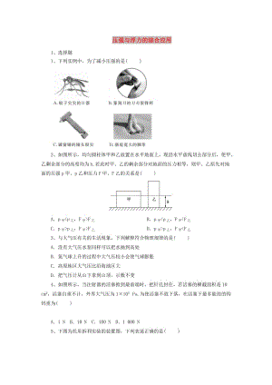 北京市中考物理二輪復(fù)習(xí) 專題突破4 壓強(qiáng)與浮力的綜合應(yīng)用檢測(cè).doc