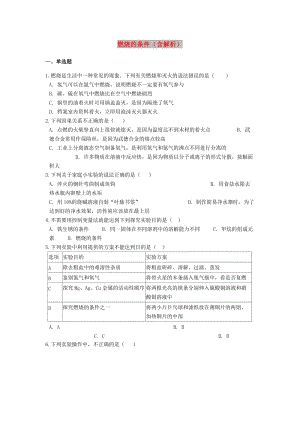 2019中考化學專題練習 燃燒的條件（含解析）.doc