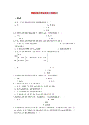 2019中考化學(xué)專題練習(xí) 溶解現(xiàn)象與溶解原理（含解析）.doc