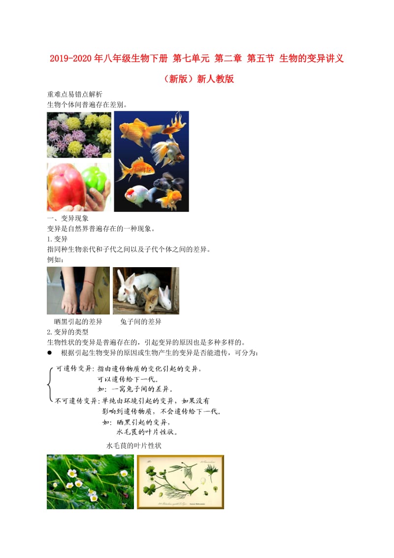 2019-2020年八年级生物下册 第七单元 第二章 第五节 生物的变异讲义 （新版）新人教版.doc_第1页