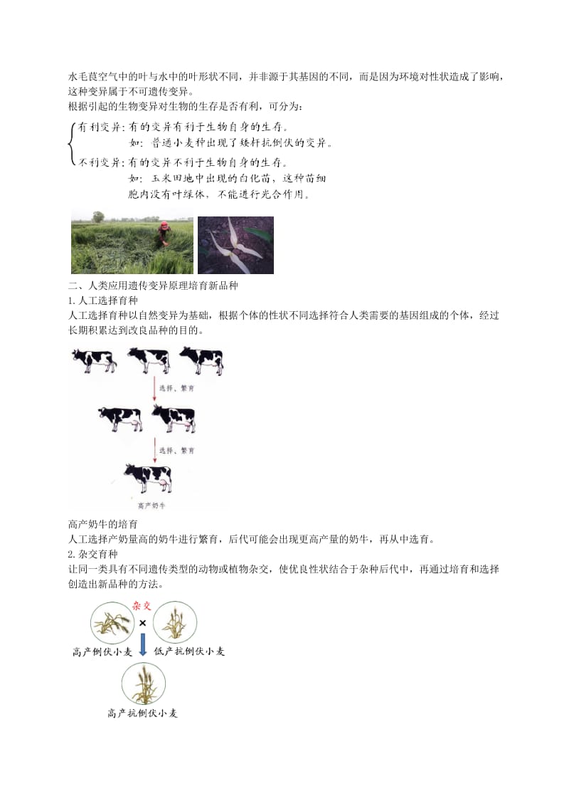 2019-2020年八年级生物下册 第七单元 第二章 第五节 生物的变异讲义 （新版）新人教版.doc_第2页