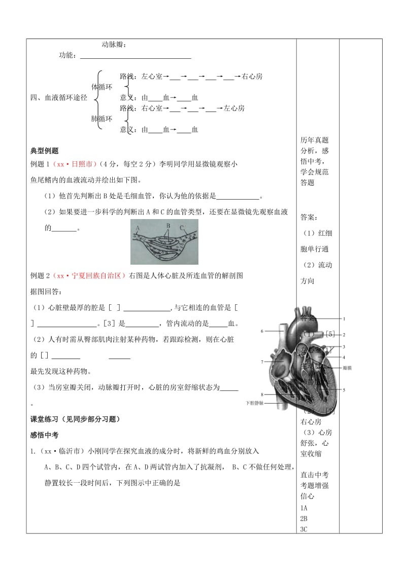 2019-2020年九年级生物上册《人体内物质的运输》教案 新人教版.doc_第2页