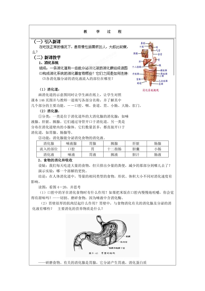 2019-2020年九年级科学上册 4.2食物的消化与吸收教案1 浙教版.doc_第2页