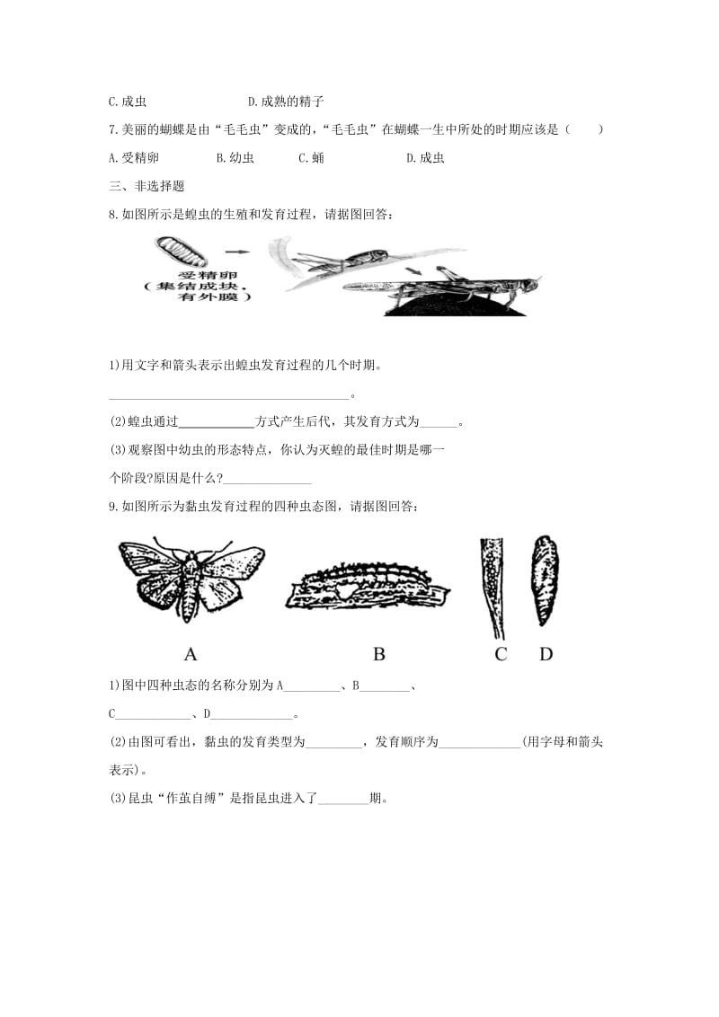 2019-2020年八年级生物下册 第二批教学能手评选 7.1.2 昆虫的生殖和发育学案（新版）新人教版.doc_第3页