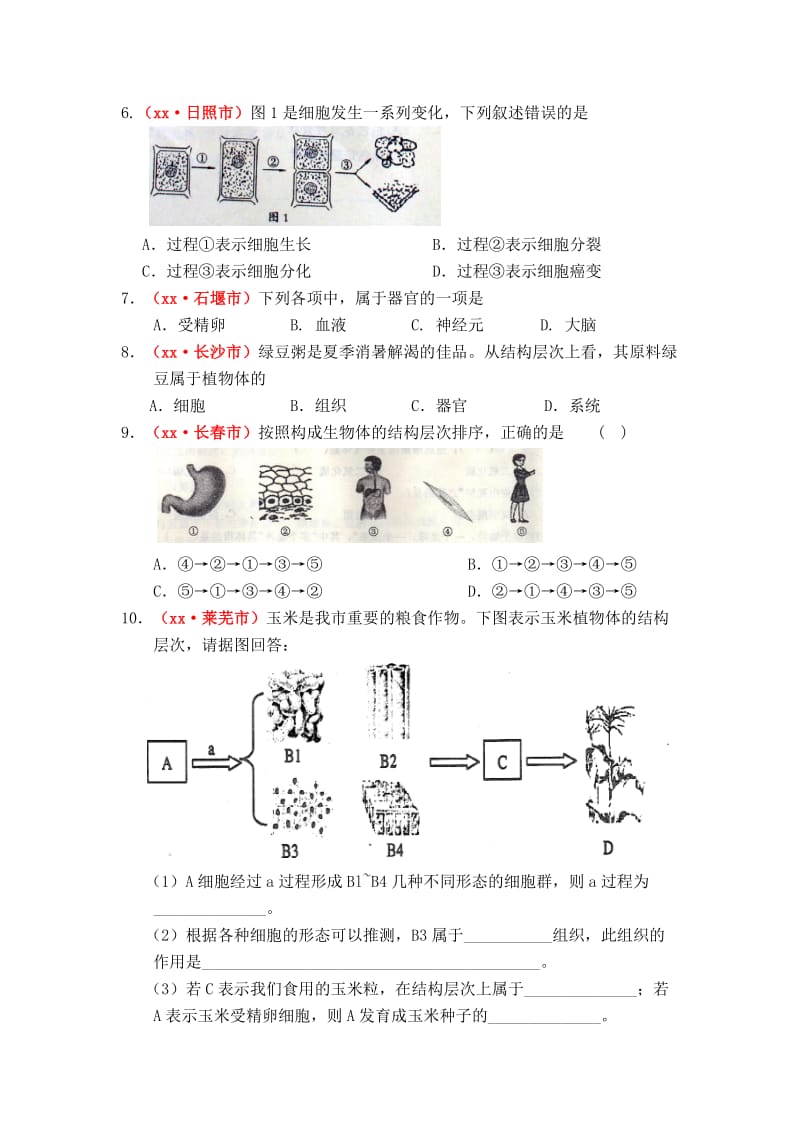 2019-2020年九年级生物 第二单元第三章细胞怎样构成生物体复习学案 人教新课标版.doc_第3页