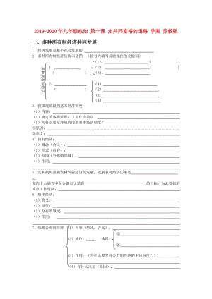 2019-2020年九年級(jí)政治 第十課 走共同富裕的道路 學(xué)案 蘇教版.doc