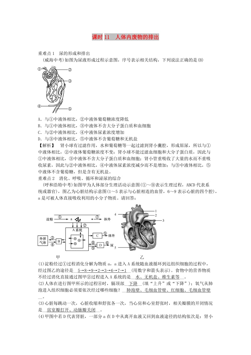 2019年中考生物总复习 主题四 生物圈中的人 课时11 人体内废物的排出.doc_第1页