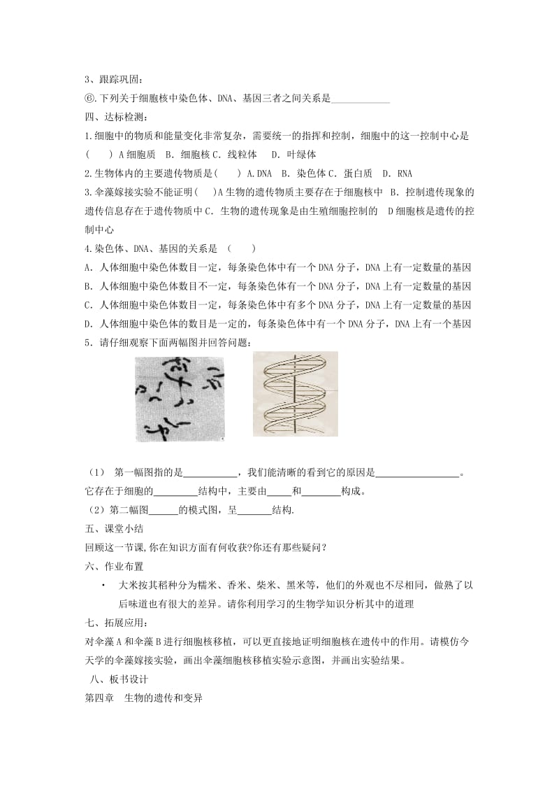 2019-2020年八年级生物上册 第四单元 第四章 第一节 遗传的物质基础教案 济南版.doc_第3页