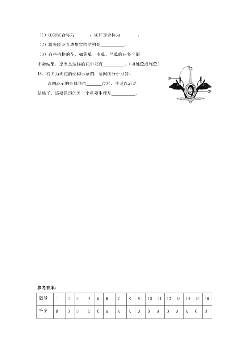 八年级生物上册 7.19.1《植物的生殖》能力提升 （新版）苏科版.doc_第3页