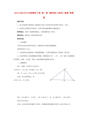 2019-2020年九年級數(shù)學下冊 第一章《解直角三角形》教案 浙教版.doc