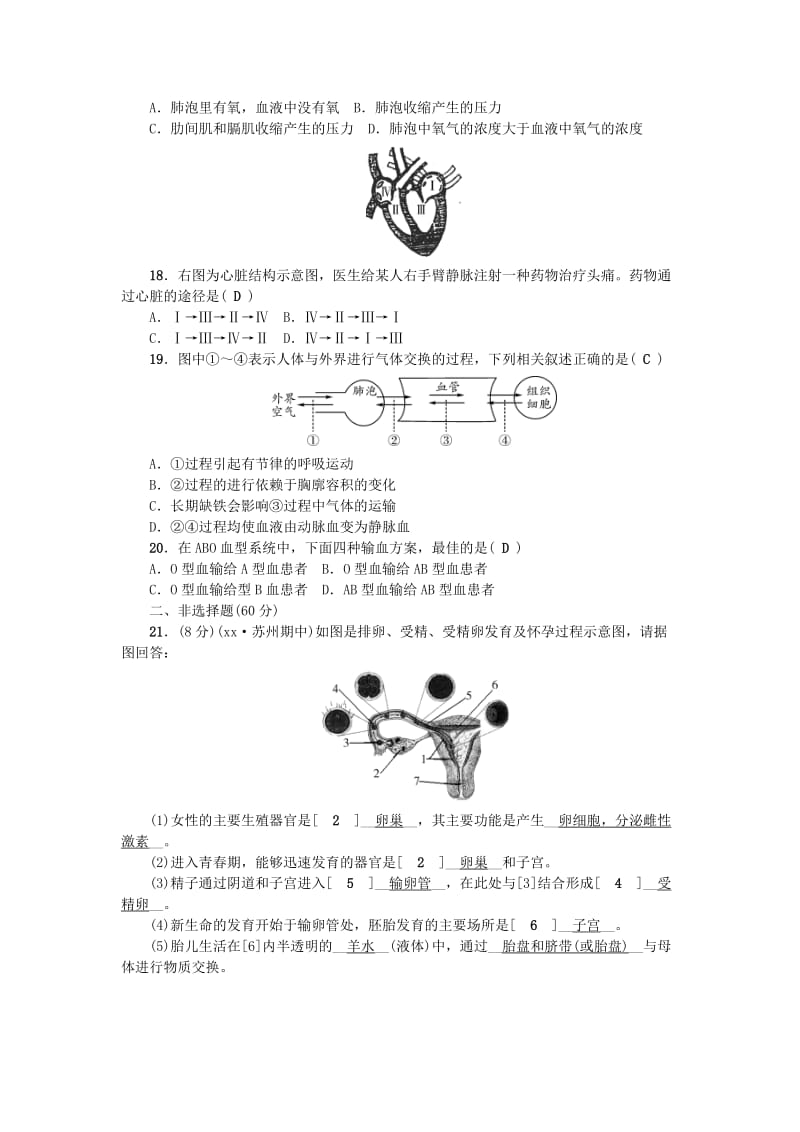 七年级生物下册 期中测试题 （新版）新人教版.doc_第3页