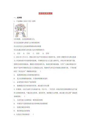 2018-2019學(xué)年九年級(jí)道德與法治上冊(cè) 第二單元 民主與法治 第三課 追求民主價(jià)值 第1框 生活在民主國(guó)家同步練習(xí) 新人教版.doc