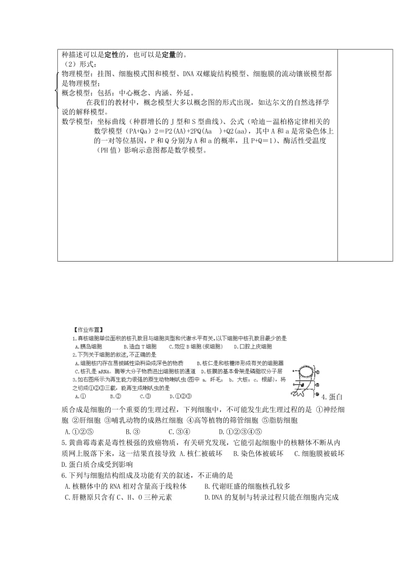 2019-2020年高中生物 第3章 细胞的结构（第2课时）教案 新人教版必修1.doc_第3页