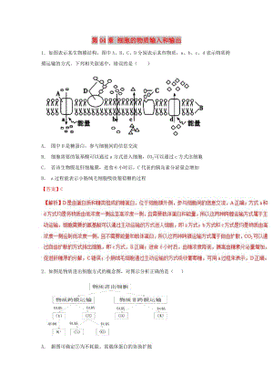 2018-2019學(xué)年高中生物 第04章 細(xì)胞的物質(zhì)輸入和輸出復(fù)習(xí)練習(xí)（基礎(chǔ)版）新人教版必修1.doc