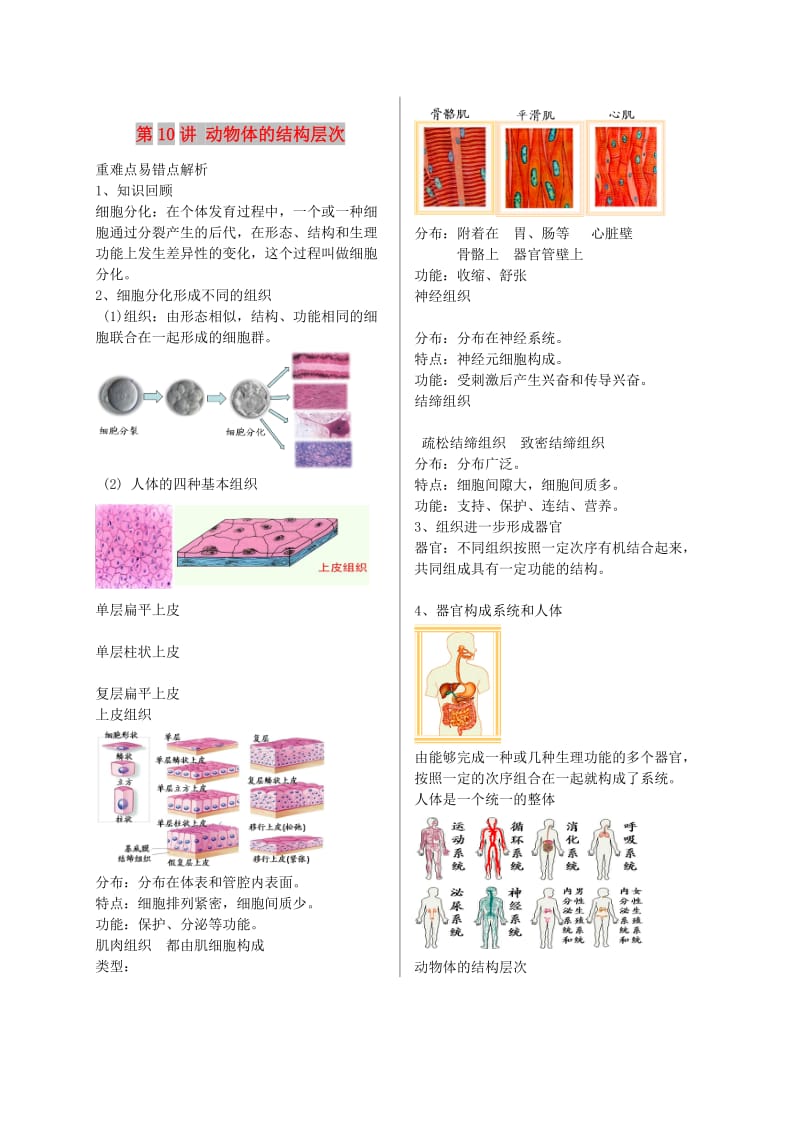 江苏省大丰市七年级生物上册 第10讲 动物体的结构层次讲义 苏教版.doc_第1页