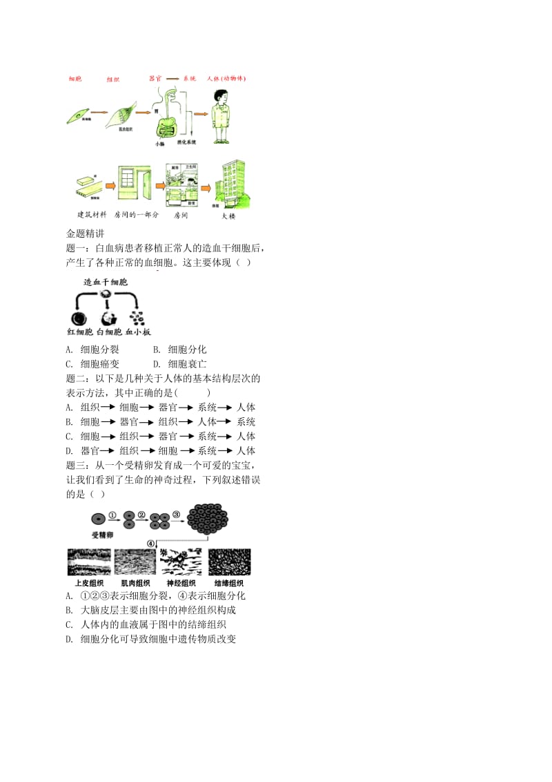 江苏省大丰市七年级生物上册 第10讲 动物体的结构层次讲义 苏教版.doc_第2页