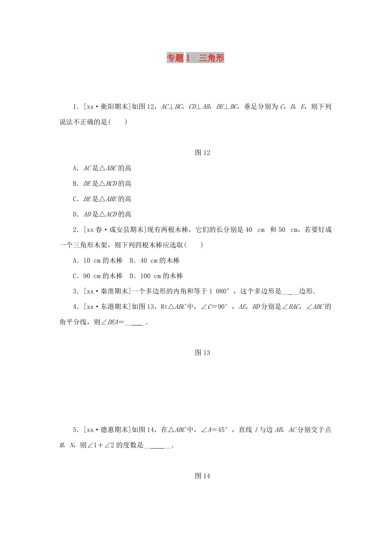 八年级数学上册 期末复习 专题1 三角形同步训练 （新版）新人教版.doc_第1页