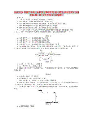 2019-2020年高三生物一輪復(fù)習(xí)（基礎(chǔ)鞏固+能力提升+挑戰(zhàn)自我）專講專練 第8講 光合作用 A（含詳解）.doc