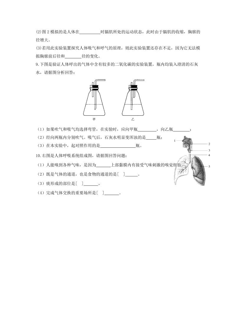 七年级生物上册 3.7.2《人体的呼吸》同步练习 （新版）苏科版.doc_第3页