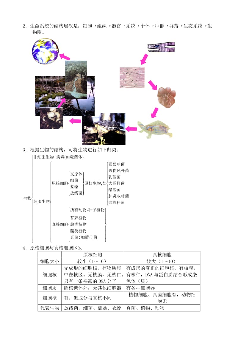 2019-2020年高中生物必修1走近细胞.doc_第2页