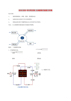 2019-2020年中考生物 人體新陳代謝復(fù)習(xí)學(xué)案.doc