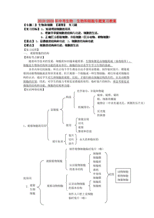 2019-2020年中考生物 生物和細(xì)胞專題復(fù)習(xí)教案.doc