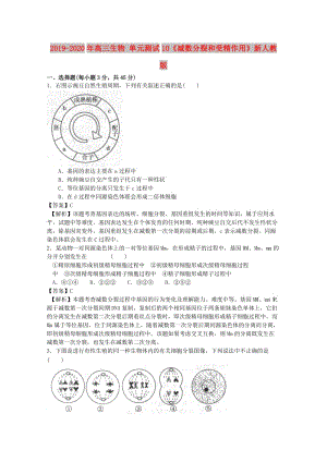 2019-2020年高三生物 單元測(cè)試10《減數(shù)分裂和受精作用》新人教版.doc