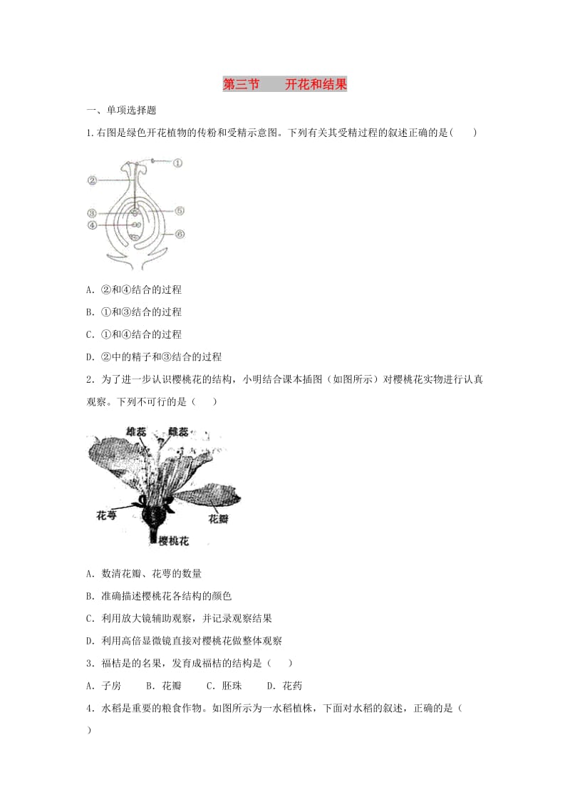 七年级生物上册 3.2.3《开花和结果》同步练习3 （新版）新人教版.doc_第1页