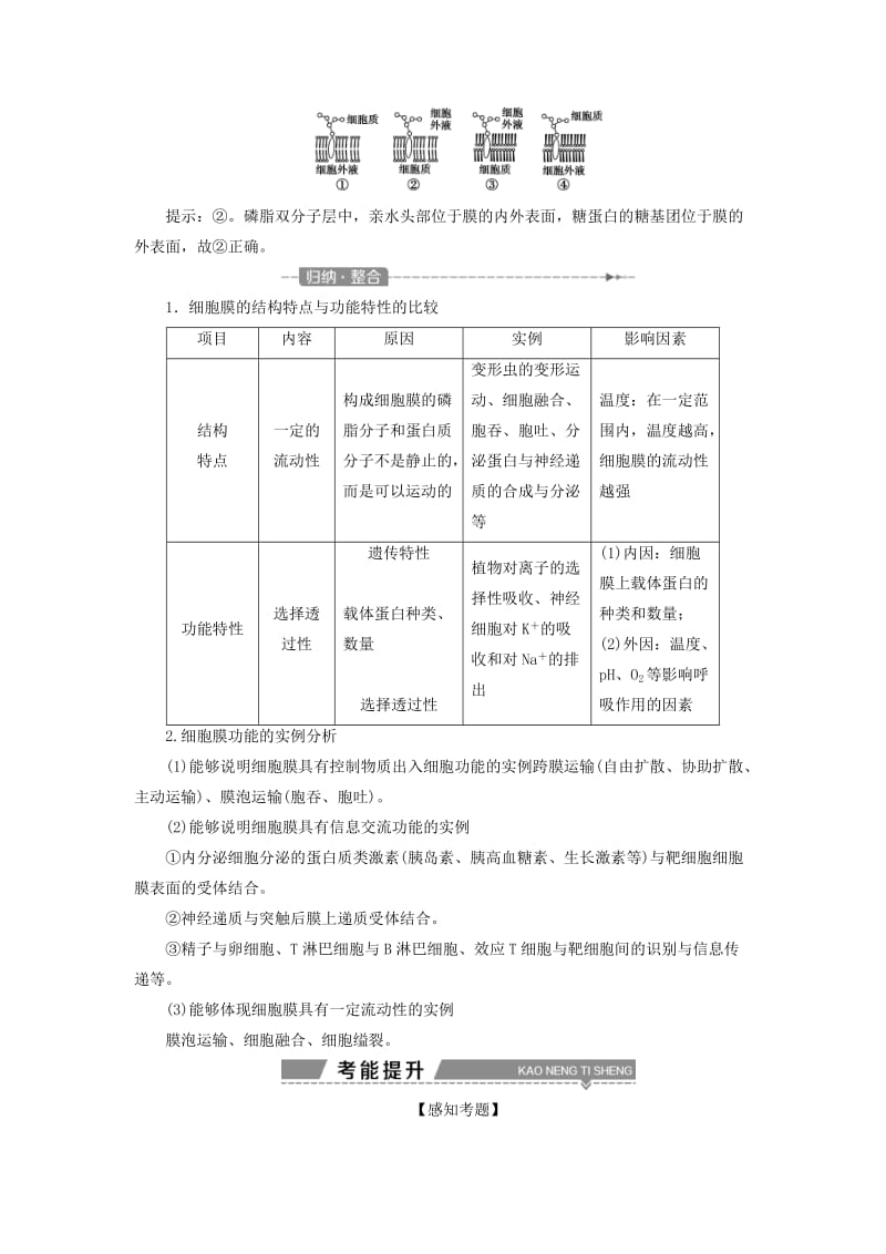 2019高考生物一轮复习 第05讲 细胞膜——系统的边界 生物膜的流动镶嵌模型 细胞核——系统的控制中心教案 新人教版必修1.doc_第3页