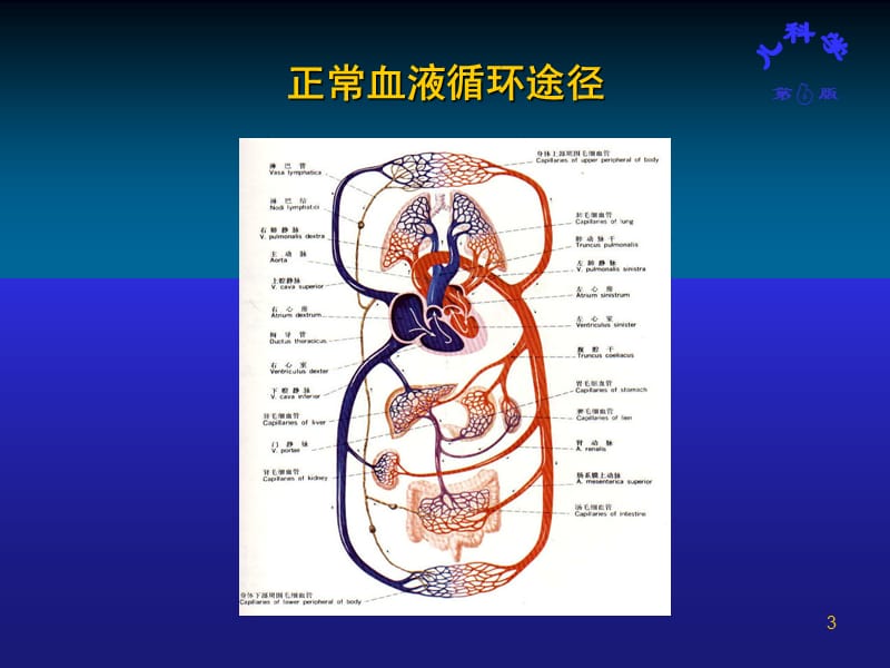 先天性心脏病ppt课件_第3页